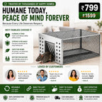 Humane Live Catch & Release Mouse Trap