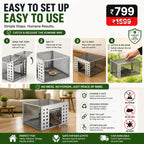 Humane Live Catch & Release Mouse Trap