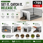 Humane Live Catch & Release Mouse Trap